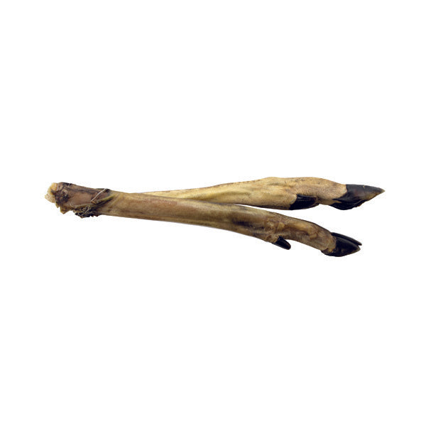 Wp Image 20185764561059.jpg