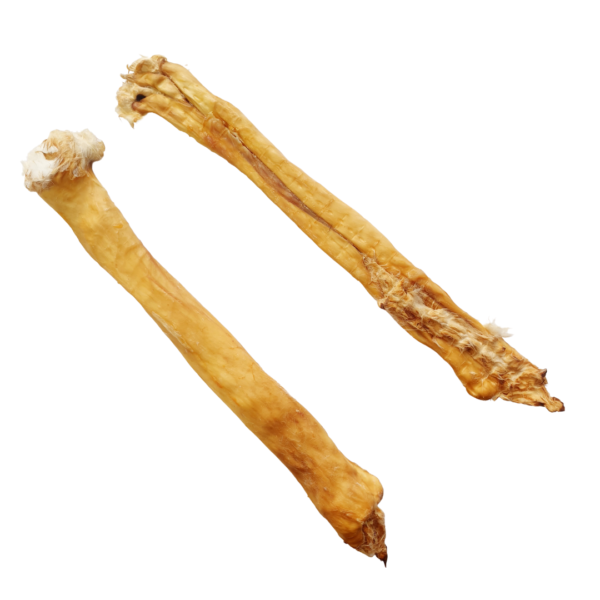Wp Image 37329269719288.png