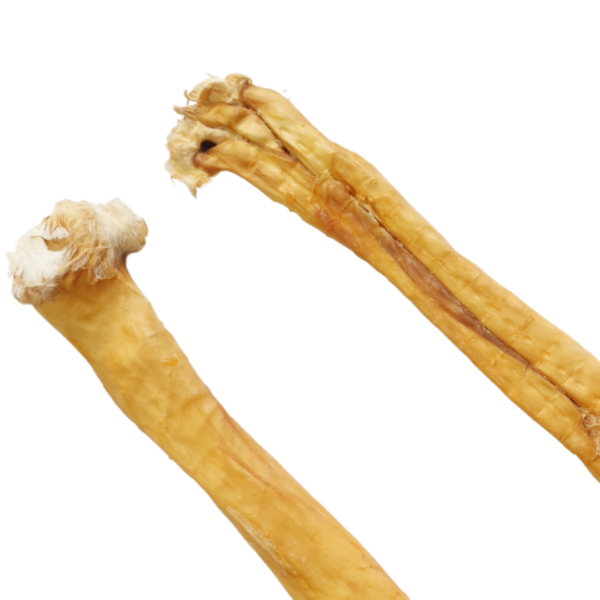 Wp Image 37329463378168.png