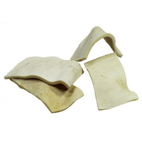 Wp Image 38073109676280.jpg