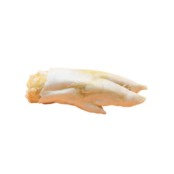Wp Image 38591675072760.jpg