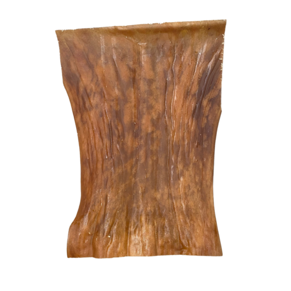 Wp Image 38908543860984.png