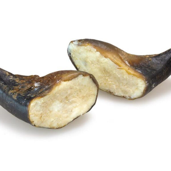 Wp Image 55009136247128.jpg