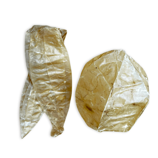 Wp Image 56210981880152.png