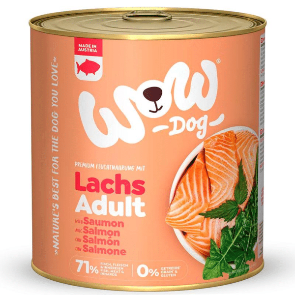 Wp Image 73428501365080.png