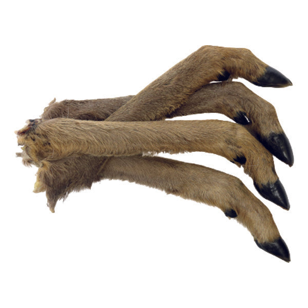 Pata de Corzo con pelo