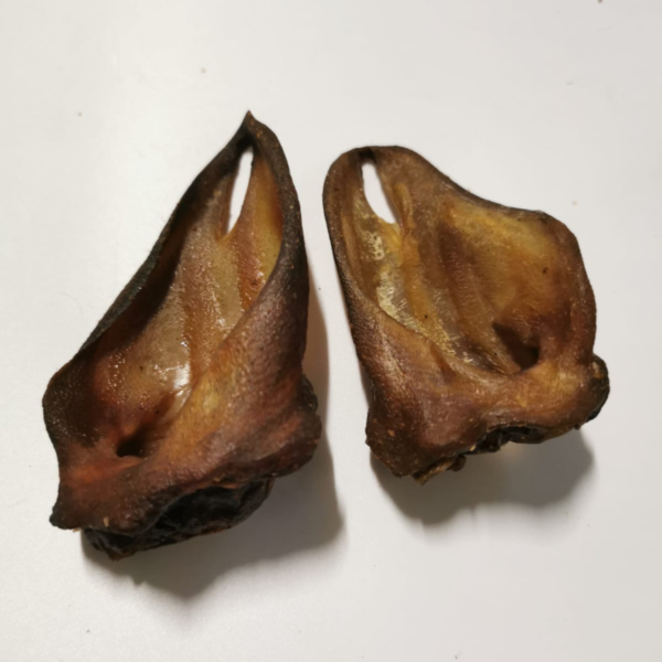 Oreja de jabalí