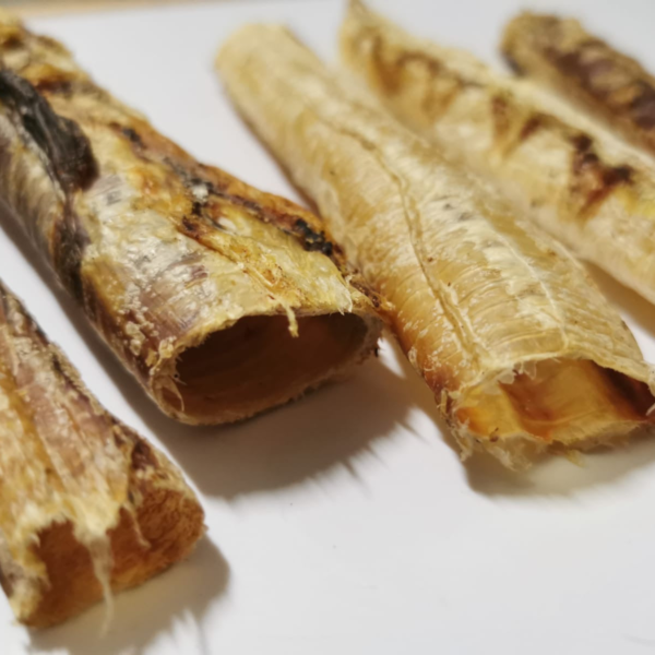 Tráqueas de avestruz