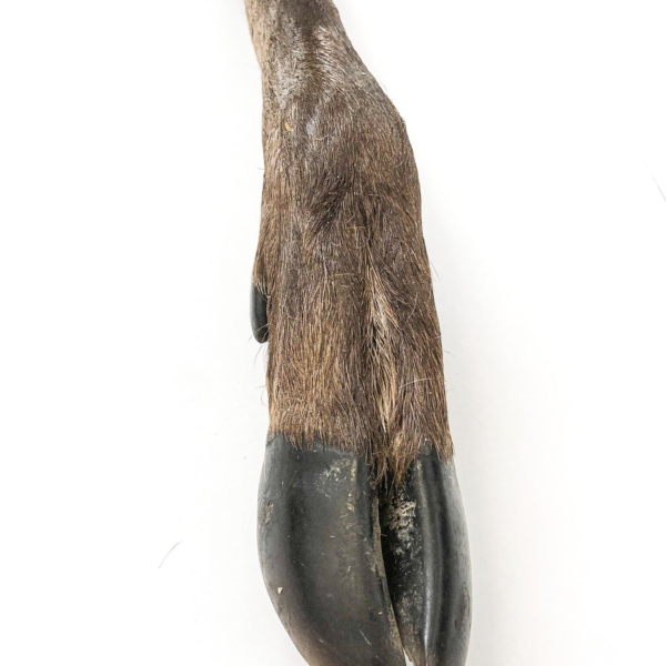 Wp Image21181902094499.png