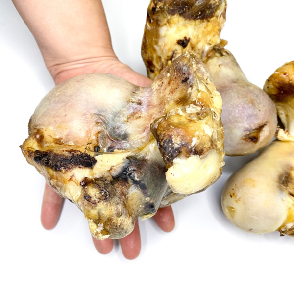 Hueso de rodilla de ternera