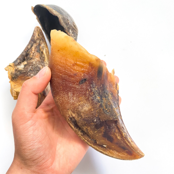 Pezuña de buey XL
