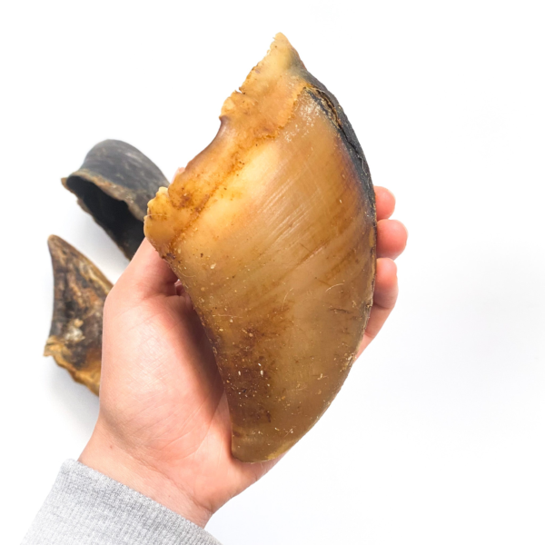 Wp Image30921392881827.png