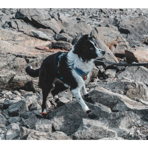Wp Image31211856134307.png