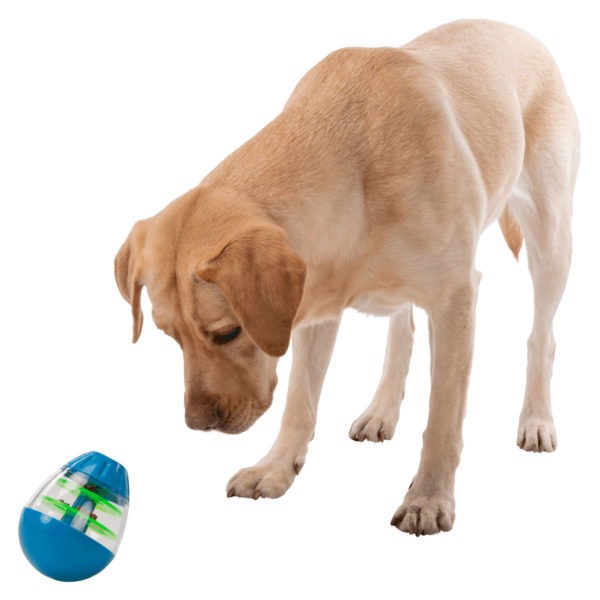 Wp Image31410773000355.png