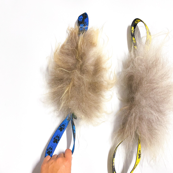 Wp Image32432705962147.png