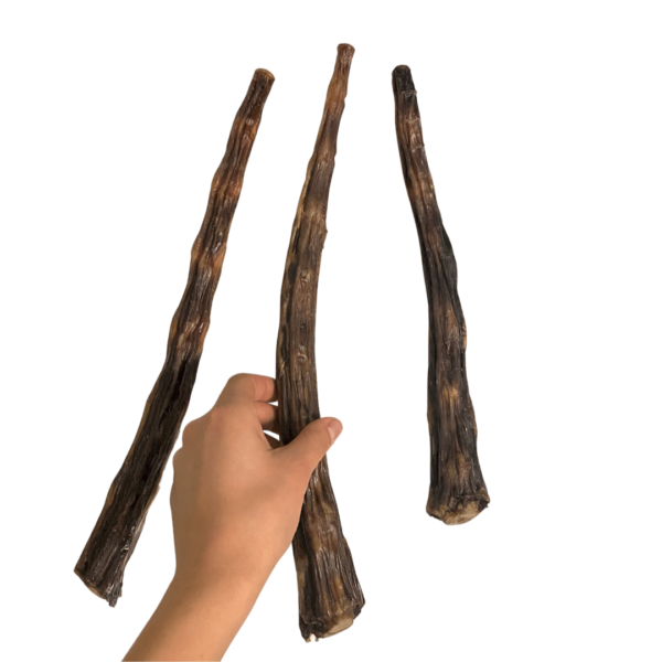 Cola de vaca 45cm