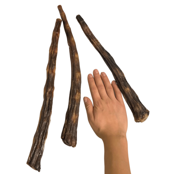 Wp Image36532296483064.png