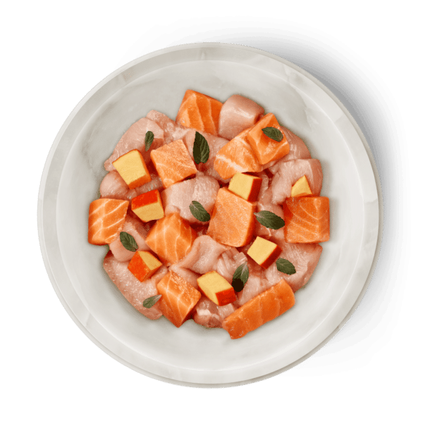Wp Image36701947166968.png