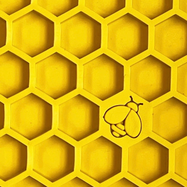 Wp Image36875054645496.png