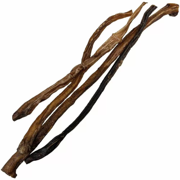 Wp Image37175550640376.png