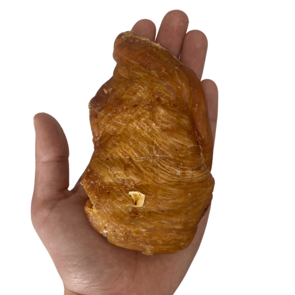 Wp Image37349733761272.png