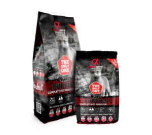Alpha Spirit Only Puppies - cachorros