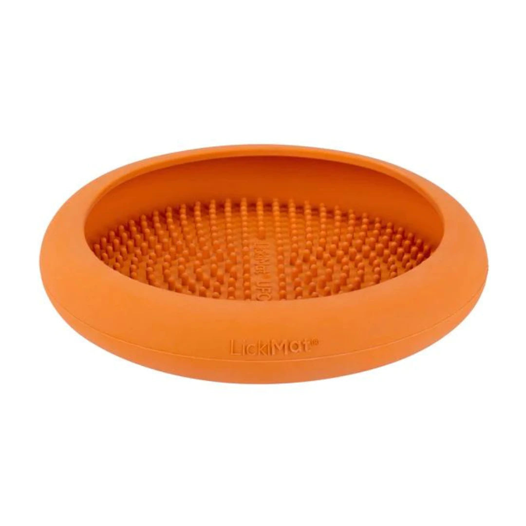 Wp Image37452653986040.png