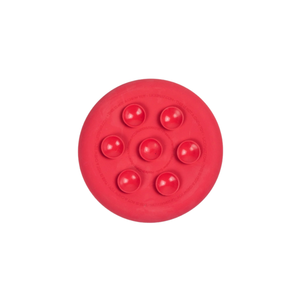 Wp Image37452666470648.png
