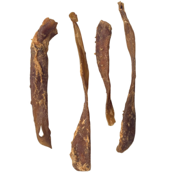 Wp Image37742594719992.png