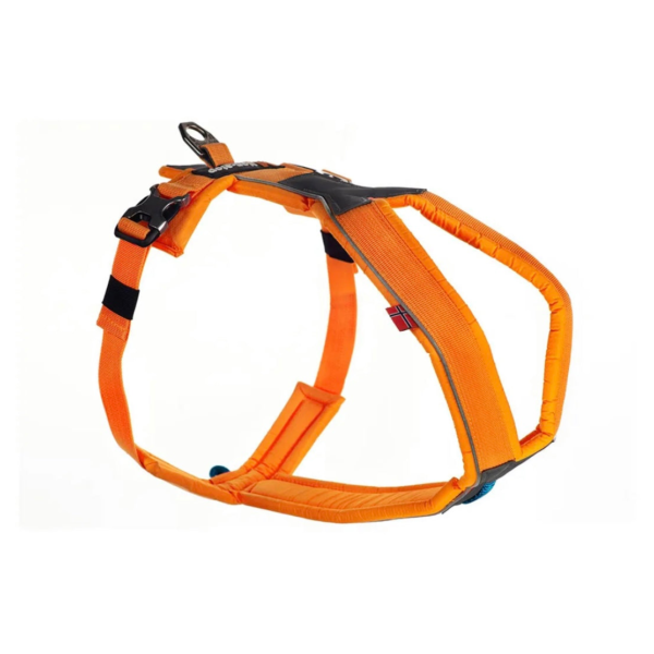 Wp Image37799021805816.png