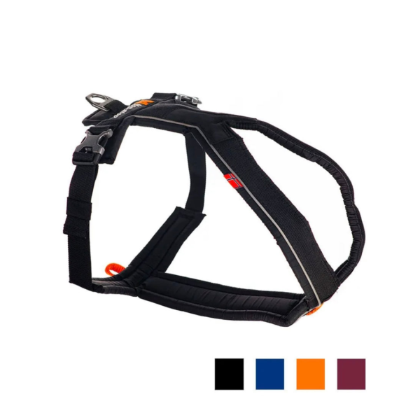 Wp Image37806000439544.png