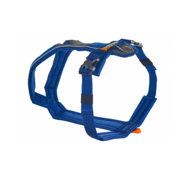 Wp Image37806000603384.png