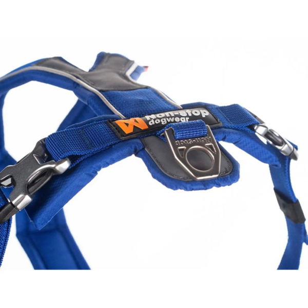 Wp Image37806000931064.png