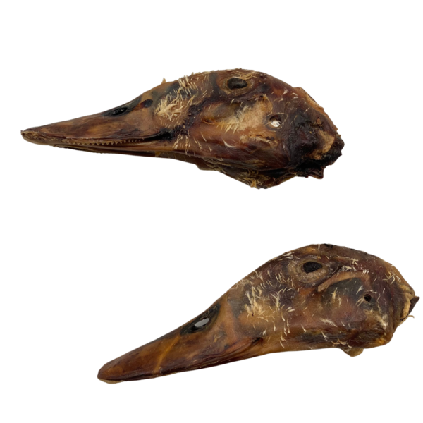 Wp Image37948194586872.png