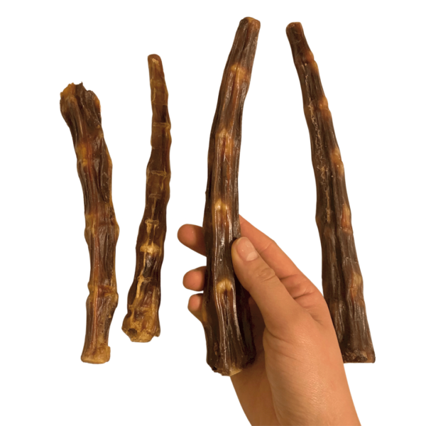 Cola de vaca 10-15cm 500g