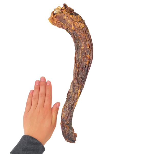 Wp Image37988757176568.png
