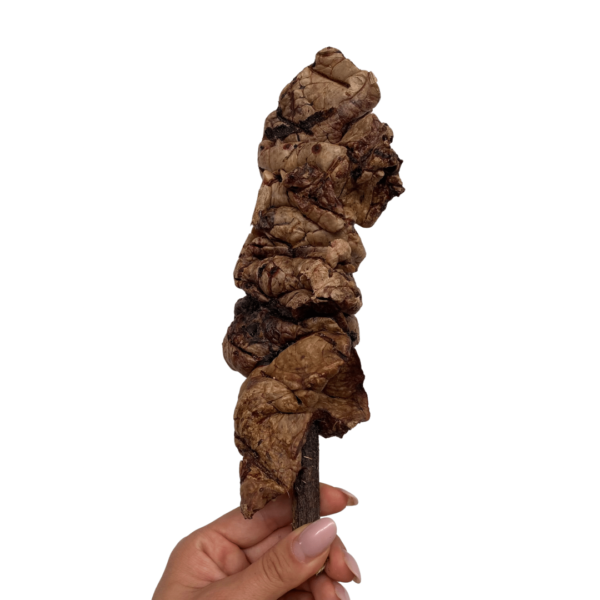 Wp Image38019700719864.png
