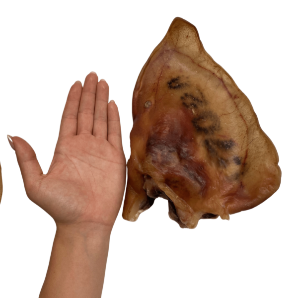 Oreja de cerdo ibérico XxL