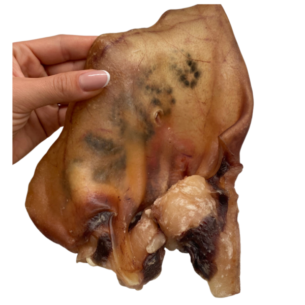 Wp Image38061182124280.png