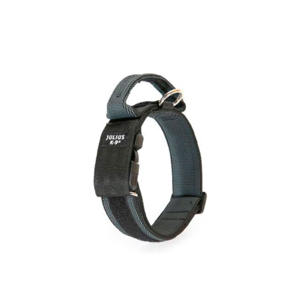Wp Image38093556515064.png