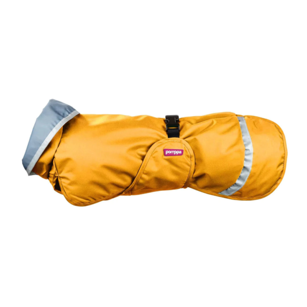 Wp Image38110331502840.png