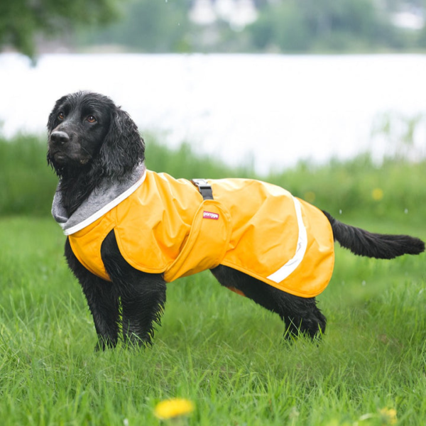 Wp Image38111669518584.png