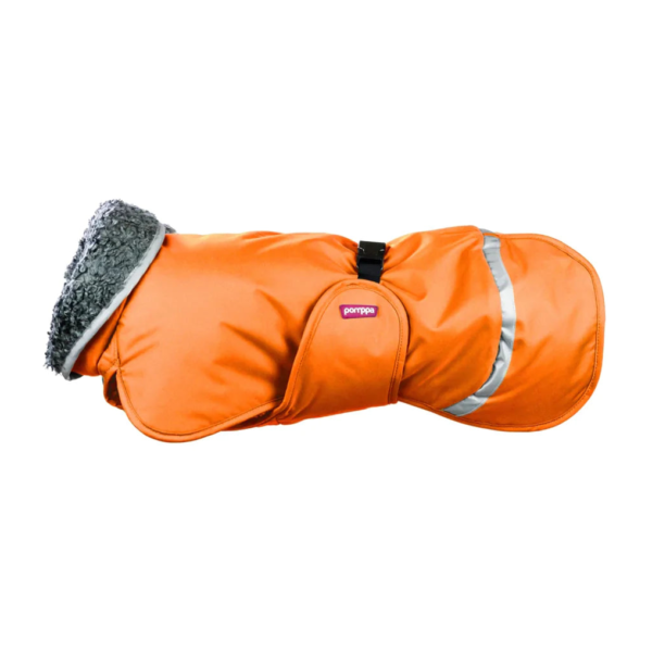 Wp Image38129223663864.png