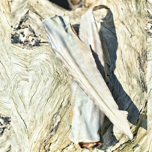 Wp Image38309077549304.png