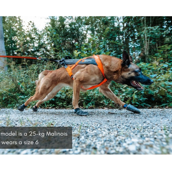 Wp Image38328245158136.png