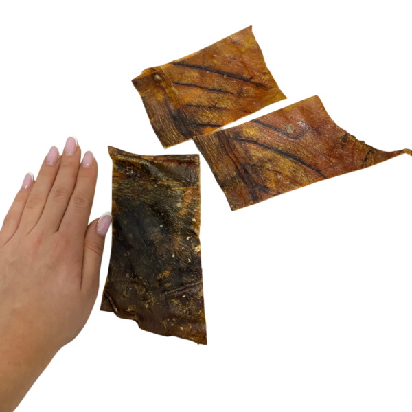 Wp Image38591701942520.png
