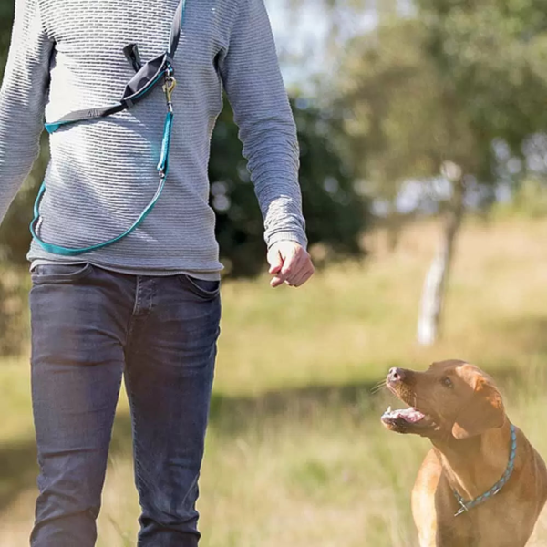 Wp Image38772482310392.png