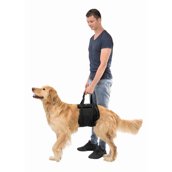 Wp Image38778248593656.png