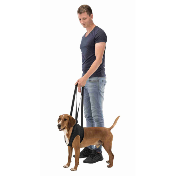 Wp Image38778754793720.png