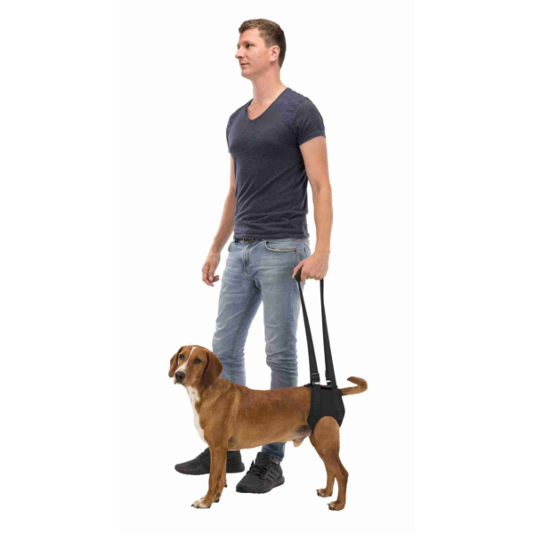 Wp Image38778755416312.png